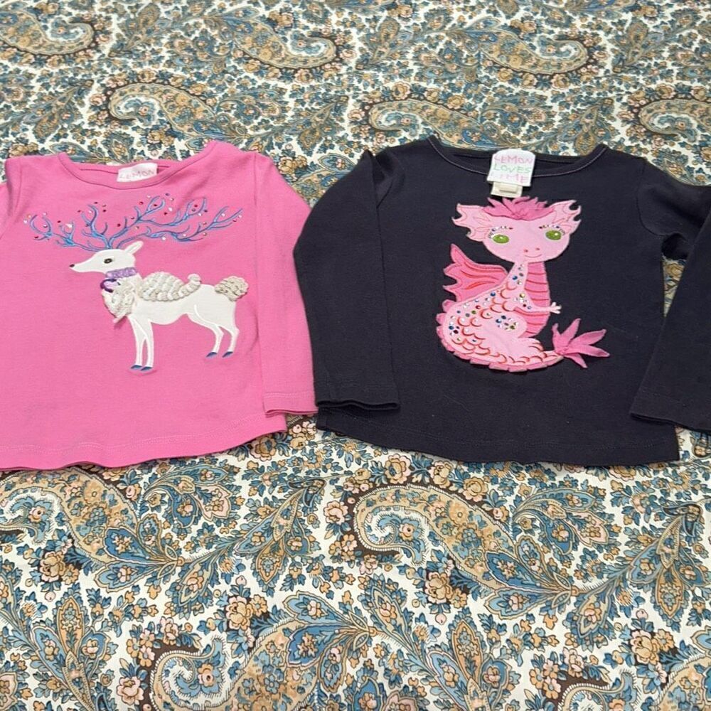 Lemon loves lime shirt bundle sz 2